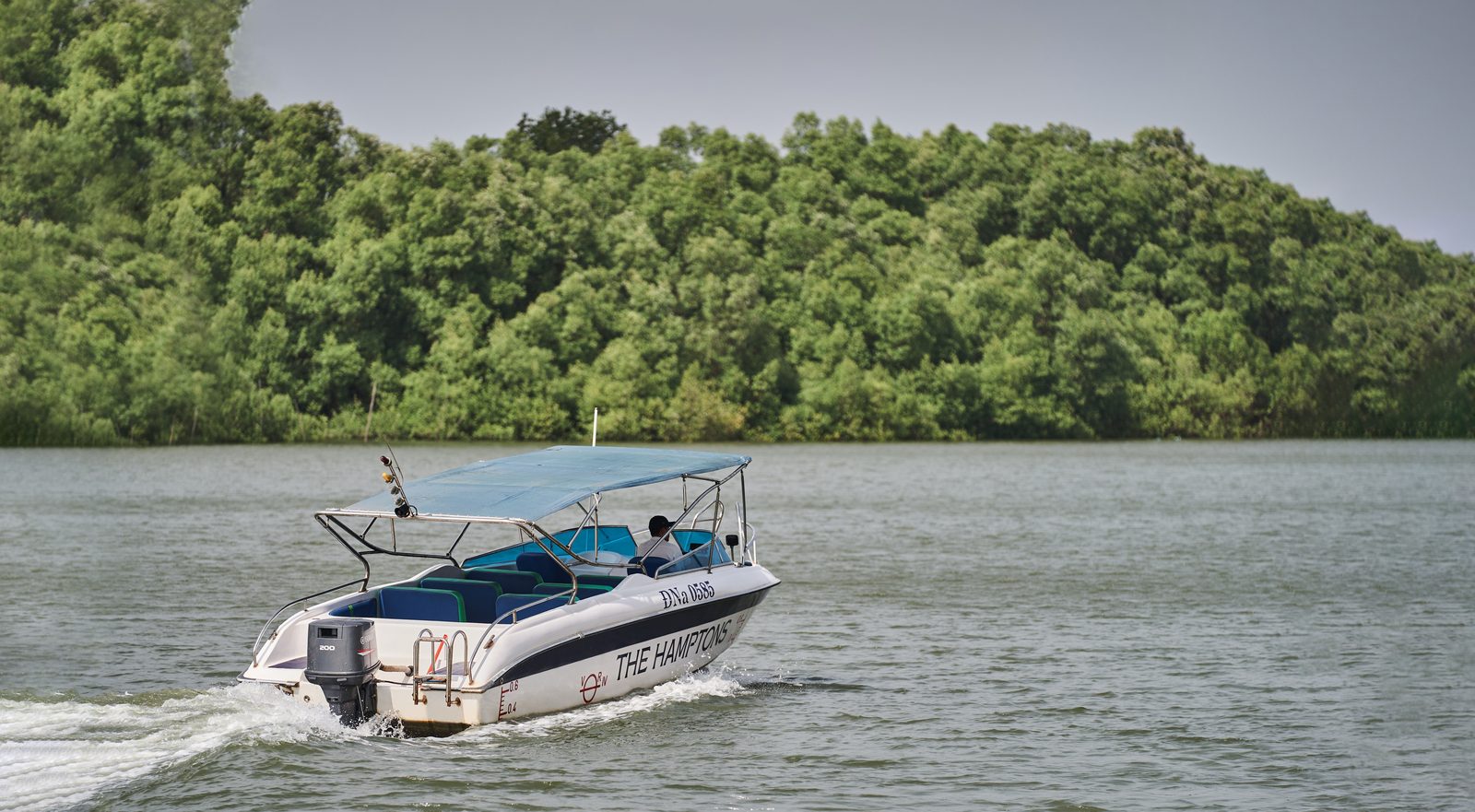Boat Cruise on Ray river