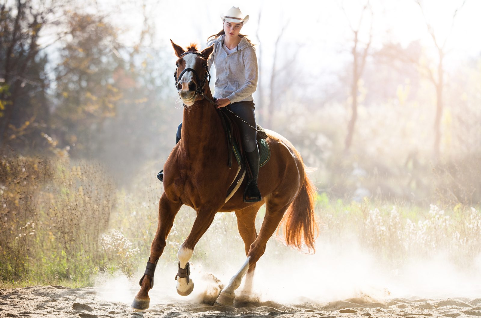 Cicada Ho Tram - Forest and Horseback Riding