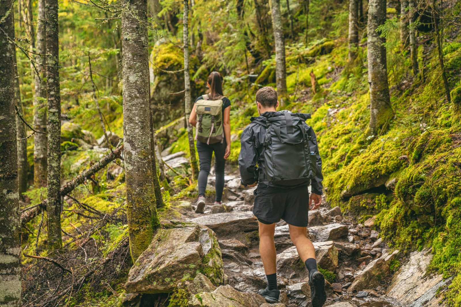 Hike,Couple,Hikers,Hiking,Forest,Trail,In,Autumn,Nature,Going